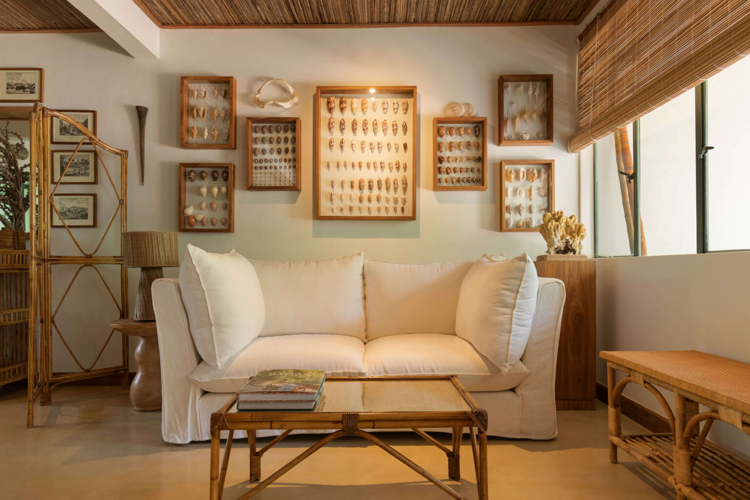 Belgian linen sofa framed by a curated collection of natural objects.