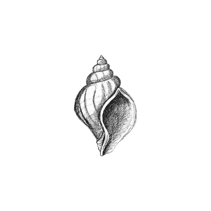 shell_720x720