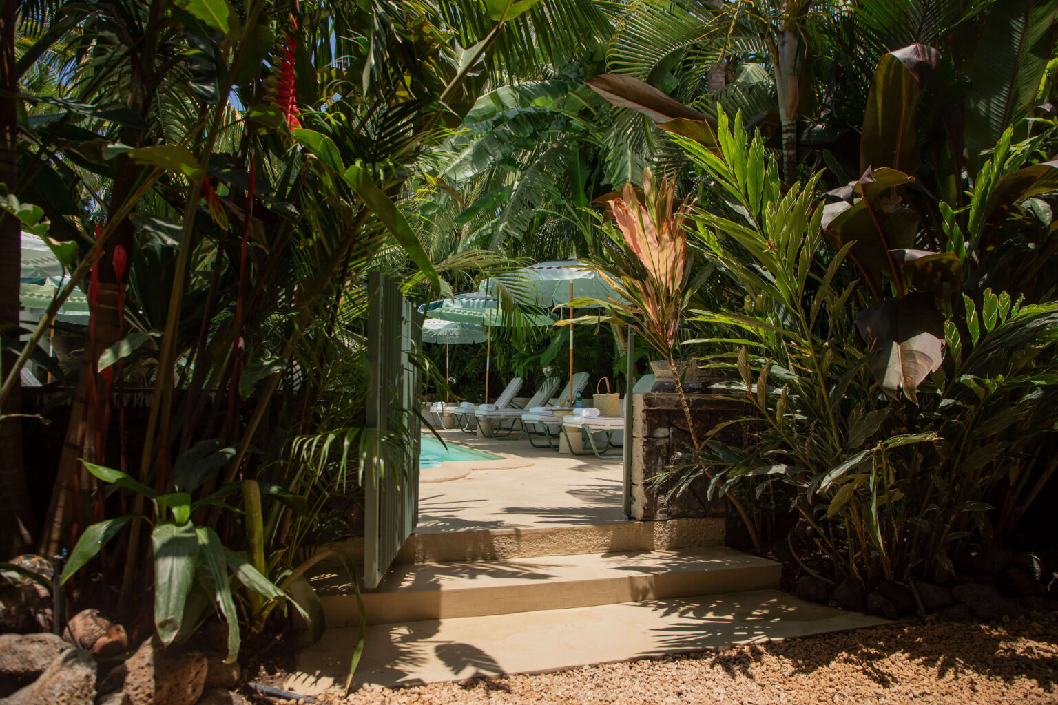 A garden of blossoming heliconias and a rich variety of tropical beauty