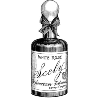 clean_extra_3